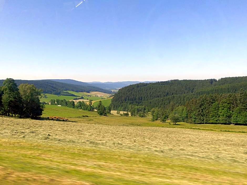 Schwarzwaldgasthaus Salenhof