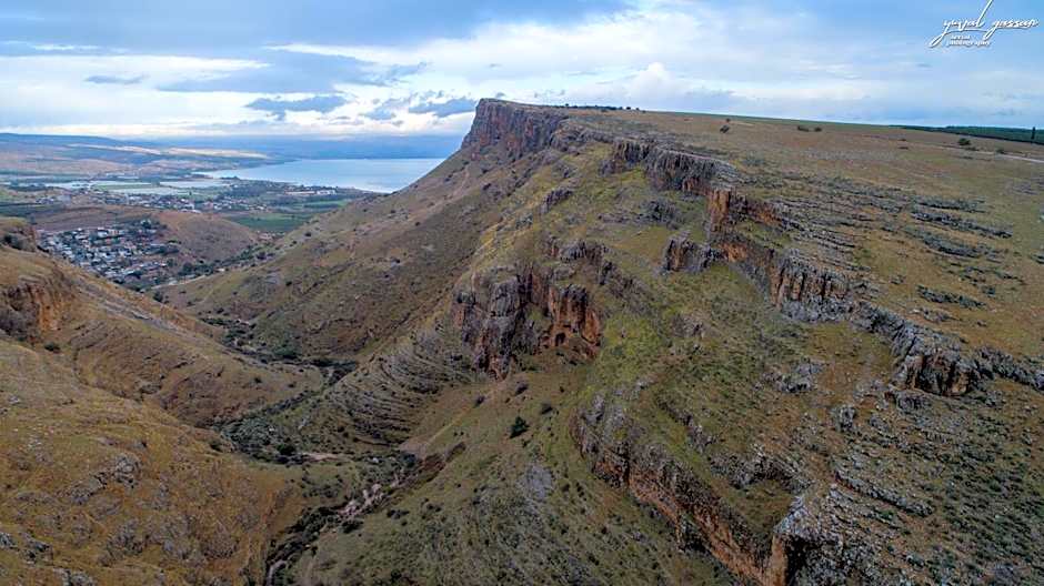 Selfie's Boutique Hotel