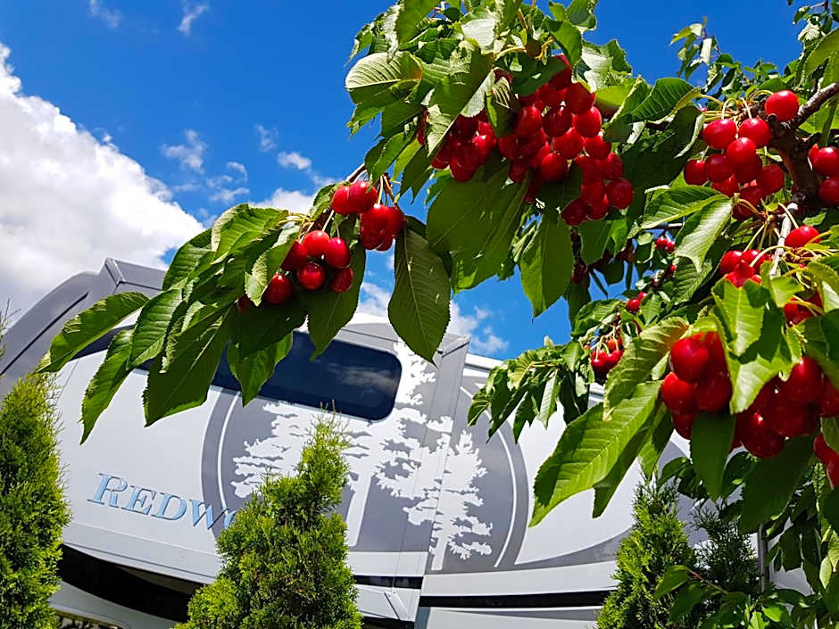 The Orchard at Oliver