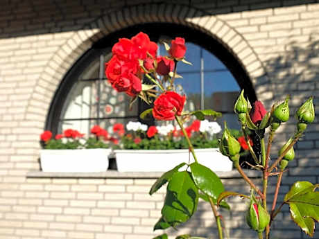 Comfort Double Room with Private Bathroom