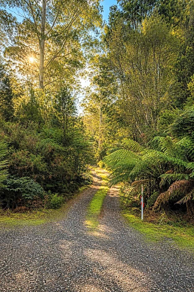 Cradle forest inn