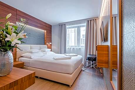 Standard Double Room for Single Use