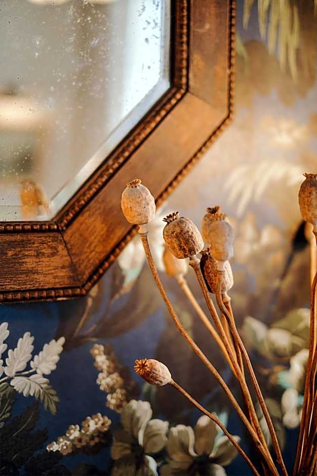 The Black Lion Pub & Boutique Guesthouse