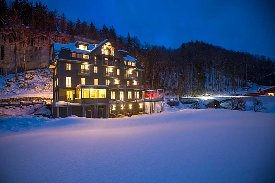 Apart Hotel Wetterhorn