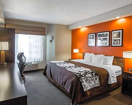 King Room - Non-Smoking