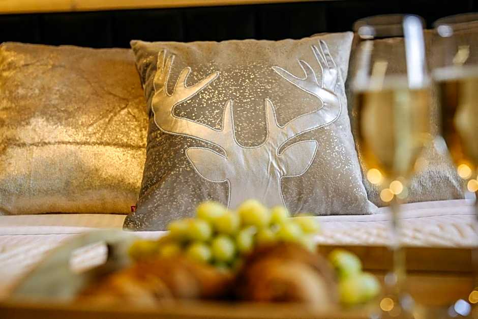 Willa Zielone Wzgórze - Zakopane - Luksusowe apartamenty