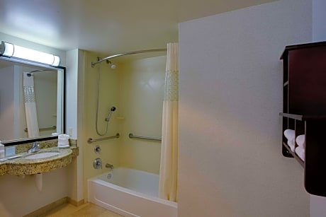 1 King Accessible with 3X3 Shower Suite Non-Smoking