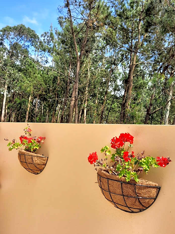 Smiling Places - Guest House in Labruge