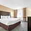 Comfort Inn Detroit Downtown