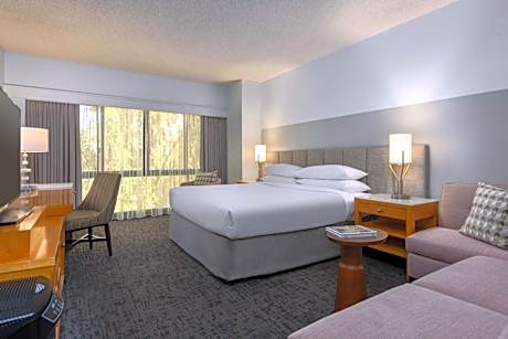 King Room - Allergy Friendly - (No Resort Fees)