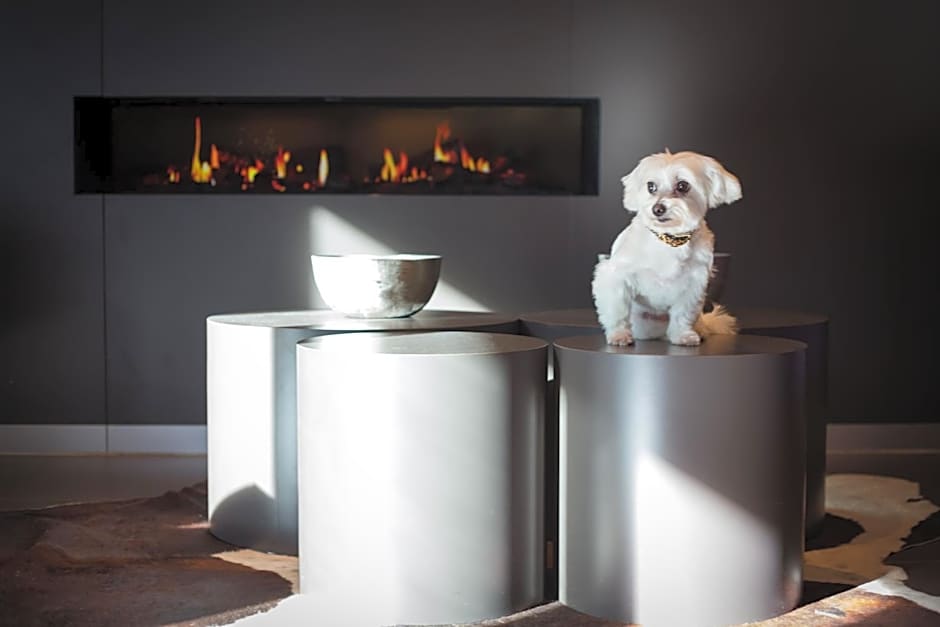 relexa hotel München