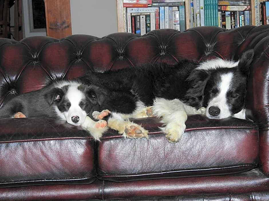 Barklysuites Apartments