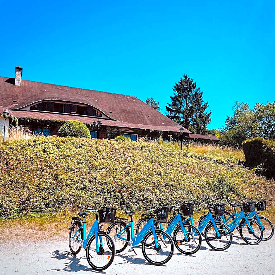 Domaine Foray