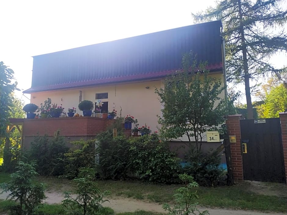 Bed & Breakfast - Warniłęg