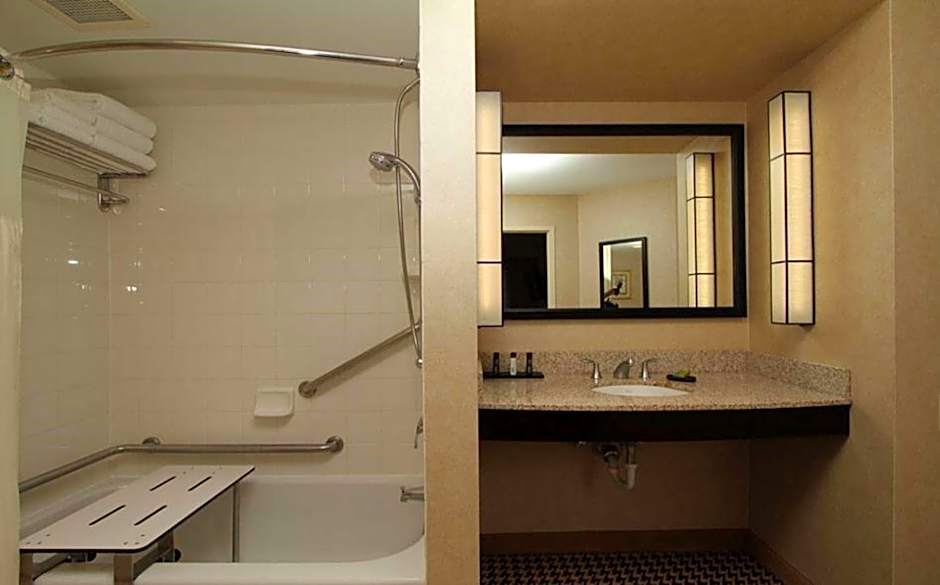 Hampton Inn By Hilton And Suites Detroit/Airport-Romulus