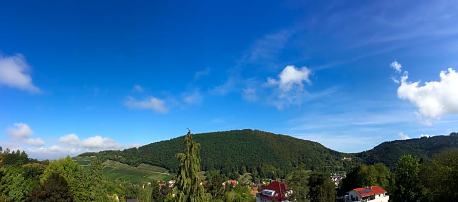 Art-Hotel am Park