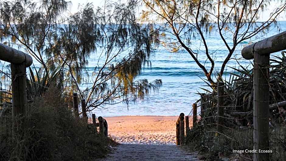 Ecoasis Mami Wata Rainforest Haven