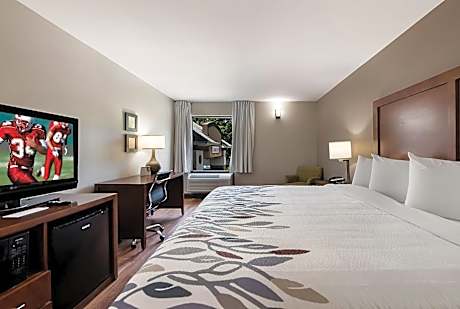 Red Roof Inn Newport News - Yorktown