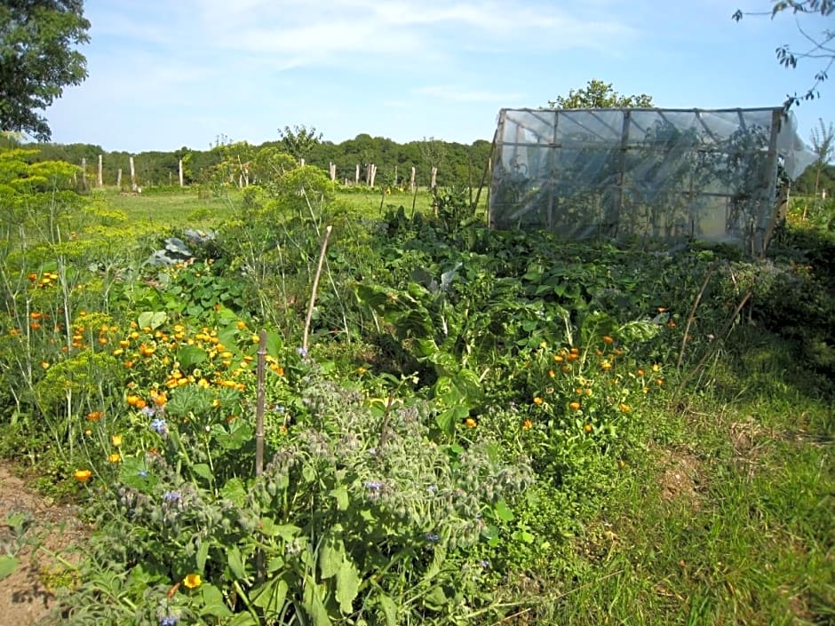 Ô prés d'ici Chambres d'hôtes