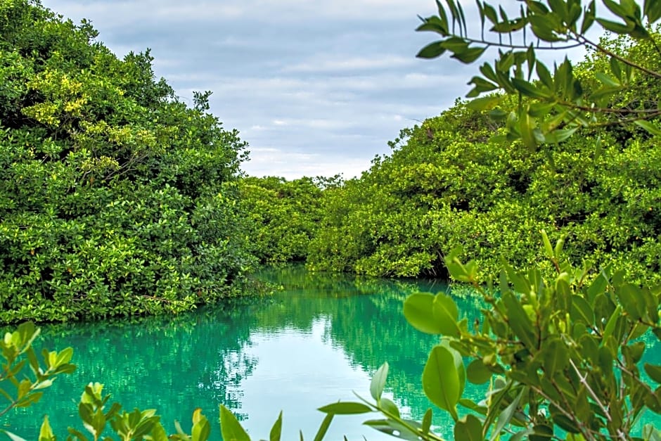 Cielo Maya Beach Tulum