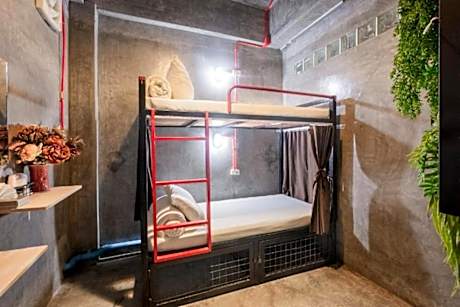 Bunk Bed in 2-Bed Mixed Dormitory Room