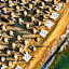 Casa di Fiore SPA and Medical Hotel, Mineral Pools & Private Beach