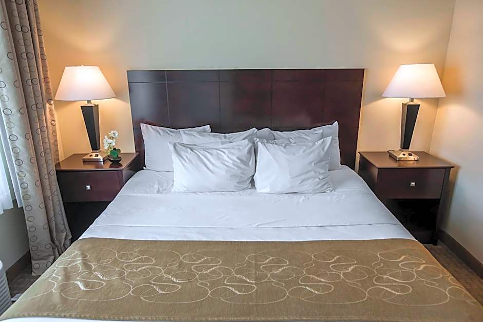 Comfort Suites University Area