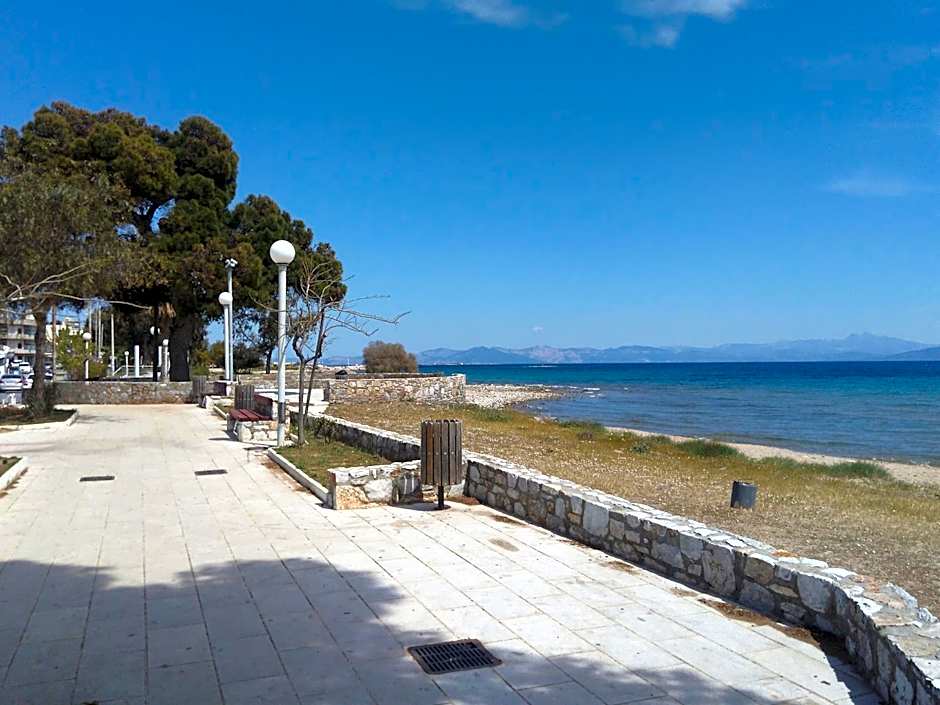 Starfish Seaside Studio