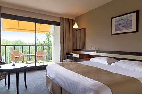 Privilege Room with Terrace