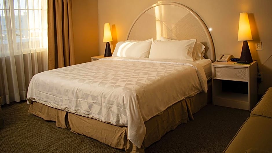 Holiday Inn Leon-Convention Center By IHG