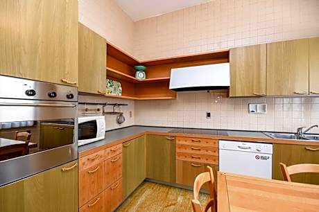 One-Bedroom Apartment with Lake View