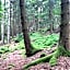 Stressless aktivCARD Bayerischer Wald inklusive