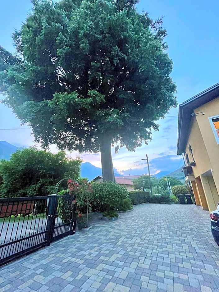 Bed & Breakfast L'Albero Maestro