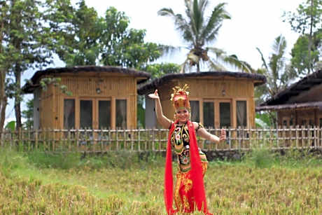 Sawah Ijen