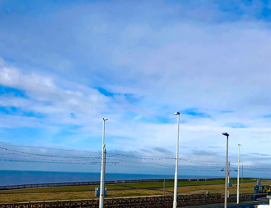 The Fossil Tree Hotel