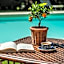 Rovezzano B&B