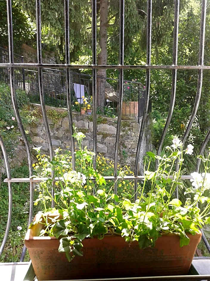 B&B I Glicini