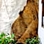Albergue San Lázaro