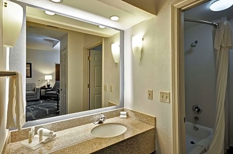 1 Bedroom Suite 1 King Bed Nonsmoking