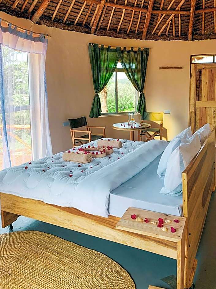 Foresight Eco Lodge & Safari