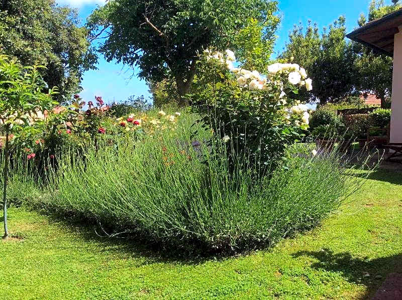 La Primavera B&B