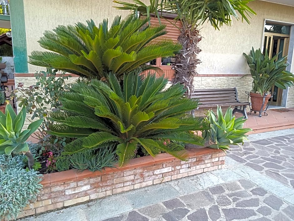 B&B La Porta Del Cilento