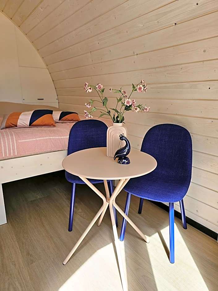 Tiny House De Skierroek