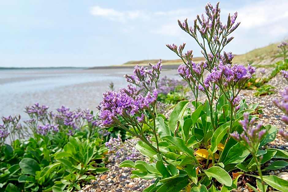 Hotelletje de Veerman