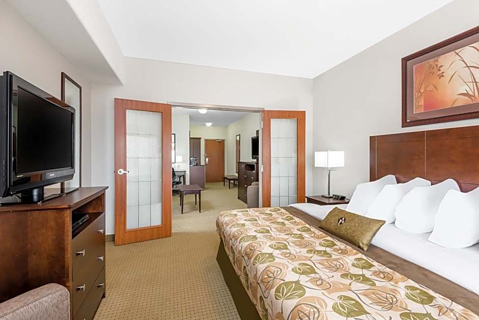 Executive 1 King Bed Suite — 4 fotoğraftan 1. fotoğraf