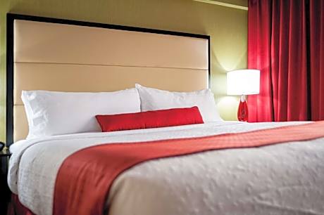 King Suite with Sofa Bed