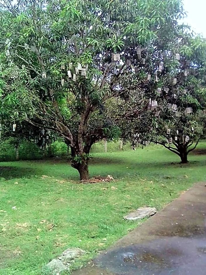 Balai Mariacaria Pension House