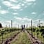 Pinkmead Estate and Vineyard