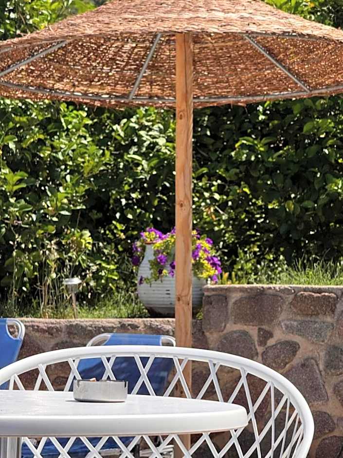 Vassilis Studios