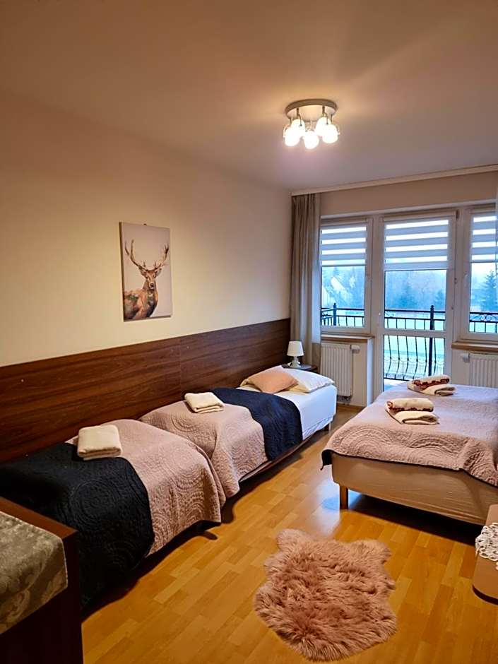 Villa Broniewskiego - Zakopane Apartamenty Pokoje